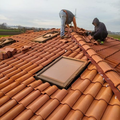 WhatsApp Image 2026-02-24 at 20.42.30